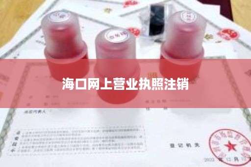 海口网上营业执照注销