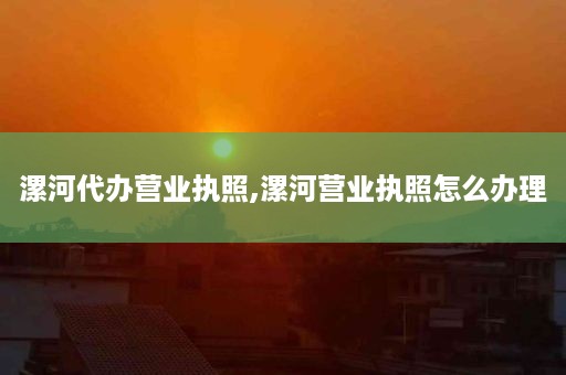 漯河代办营业执照,漯河营业执照怎么办理