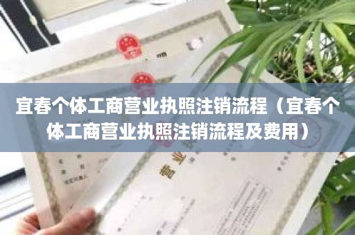 宜春个体工商营业执照注销流程（宜春个体工商营业执照注销流程及费用）