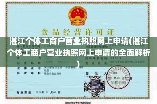 湛江个体工商户营业执照网上申请(湛江个体工商户营业执照网上申请的全面解析)