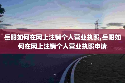 岳阳如何在网上注销个人营业执照,岳阳如何在网上注销个人营业执照申请