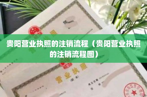 贵阳营业执照的注销流程（贵阳营业执照的注销流程图）