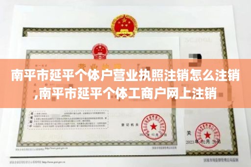 南平市延平个体户营业执照注销怎么注销,南平市延平个体工商户网上注销