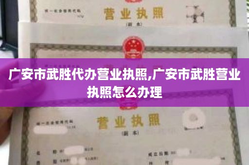 广安市武胜代办营业执照,广安市武胜营业执照怎么办理