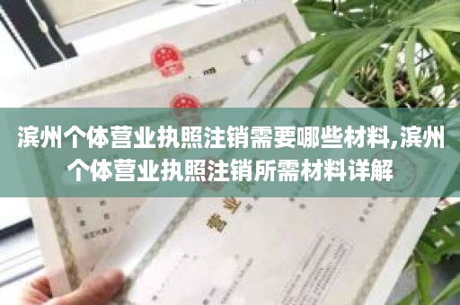 滨州个体营业执照注销需要哪些材料,滨州个体营业执照注销所需材料详解