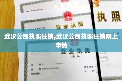 武汉公司执照注销,武汉公司执照注销网上申请