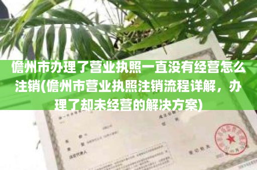 儋州市办理了营业执照一直没有经营怎么注销(儋州市营业执照注销流程详解，办理了却未经营的解决方案)