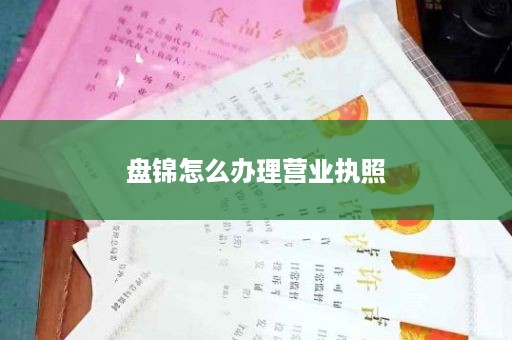 盘锦怎么办理营业执照