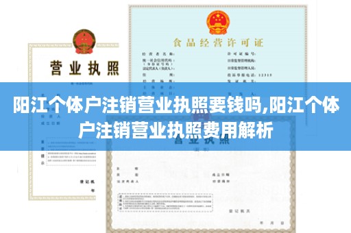 阳江个体户注销营业执照要钱吗,阳江个体户注销营业执照费用解析