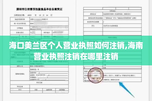 海口美兰区个人营业执照如何注销,海南营业执照注销在哪里注销