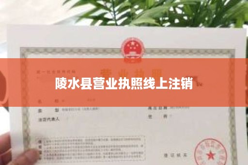 陵水县营业执照线上注销
