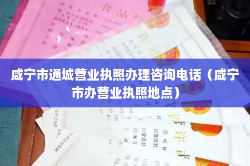 咸宁市通城营业执照办理咨询电话（咸宁市办营业执照地点）