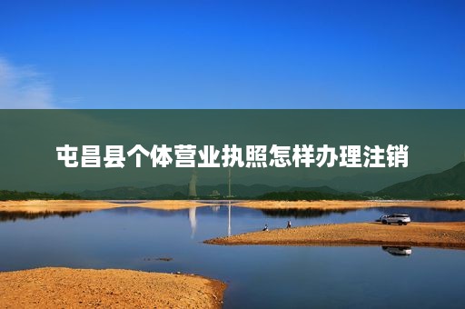 屯昌县个体营业执照怎样办理注销