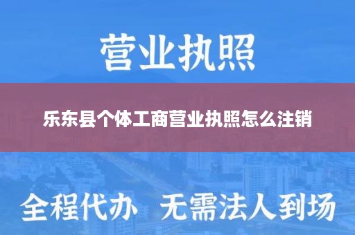 乐东县个体工商营业执照怎么注销