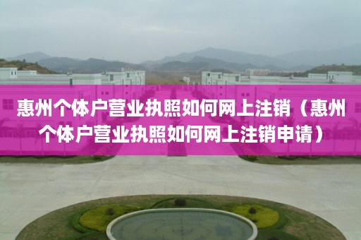惠州个体户营业执照如何网上注销（惠州个体户营业执照如何网上注销申请）
