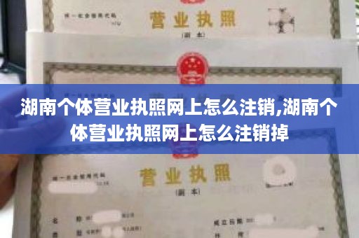 湖南个体营业执照网上怎么注销,湖南个体营业执照网上怎么注销掉