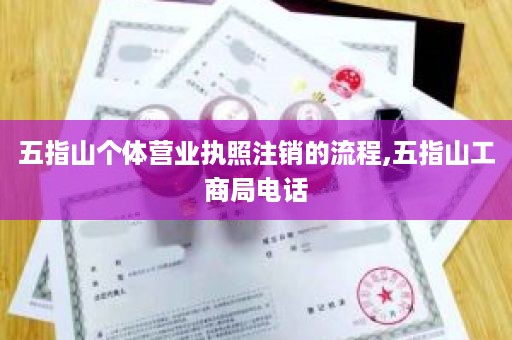 五指山个体营业执照注销的流程,五指山工商局电话