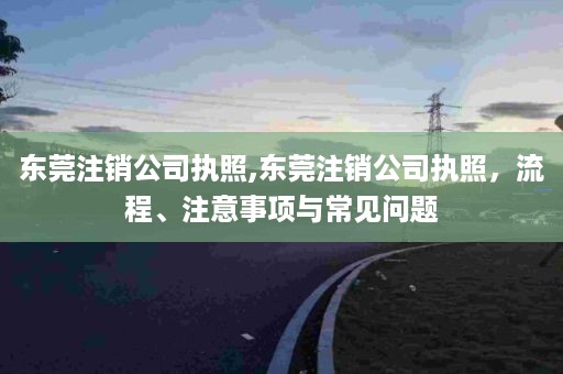 东莞注销公司执照,东莞注销公司执照，流程、注意事项与常见问题