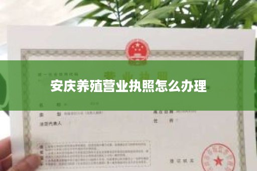 安庆养殖营业执照怎么办理