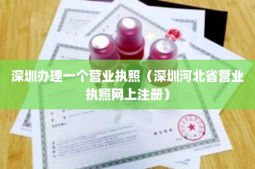 深圳办理一个营业执照（深圳河北省营业执照网上注册）