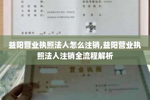 益阳营业执照法人怎么注销,益阳营业执照法人注销全流程解析