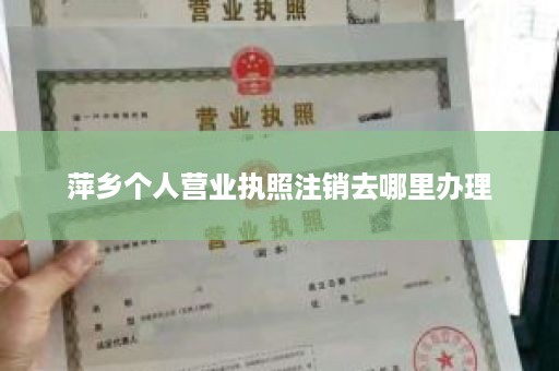 萍乡个人营业执照注销去哪里办理