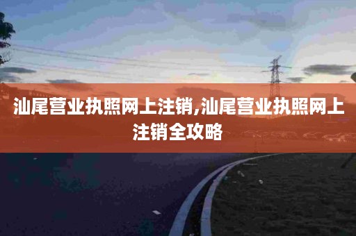 汕尾营业执照网上注销,汕尾营业执照网上注销全攻略