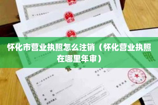 怀化市营业执照怎么注销（怀化营业执照在哪里年审）