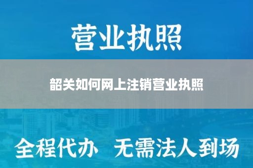 韶关如何网上注销营业执照