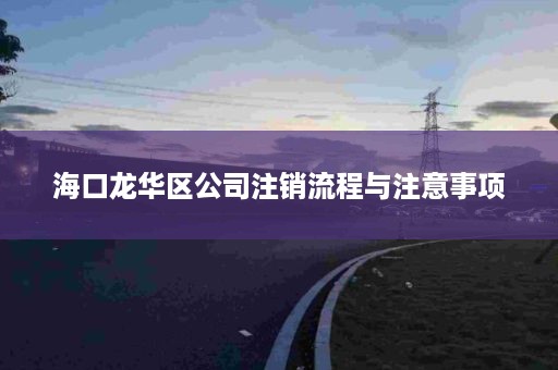 海口龙华区公司注销流程与注意事项