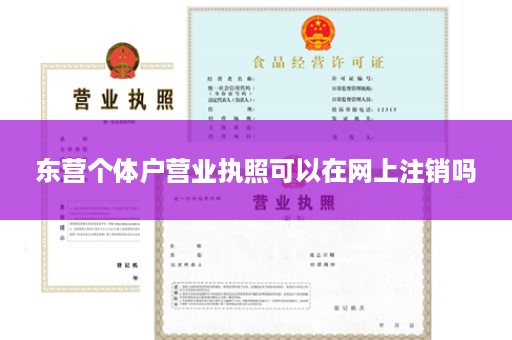 东营个体户营业执照可以在网上注销吗