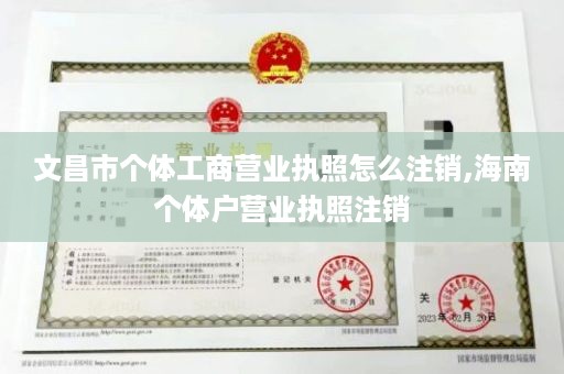 文昌市个体工商营业执照怎么注销,海南个体户营业执照注销