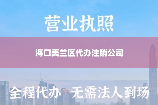 海口美兰区代办注销公司