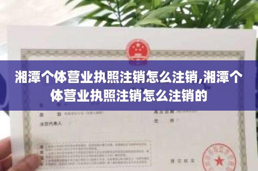 湘潭个体营业执照注销怎么注销,湘潭个体营业执照注销怎么注销的