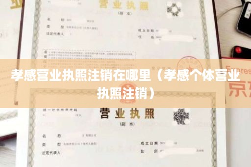 孝感营业执照注销在哪里（孝感个体营业执照注销）