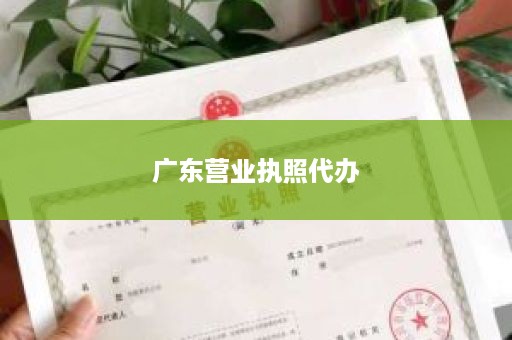 广东营业执照代办