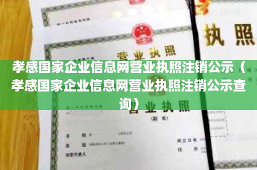 孝感国家企业信息网营业执照注销公示（孝感国家企业信息网营业执照注销公示查询）