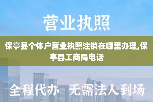 保亭县个体户营业执照注销在哪里办理,保亭县工商局电话