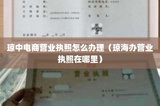 琼中电商营业执照怎么办理（琼海办营业执照在哪里）