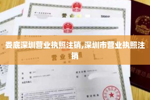 娄底深圳营业执照注销,深圳市营业执照注销