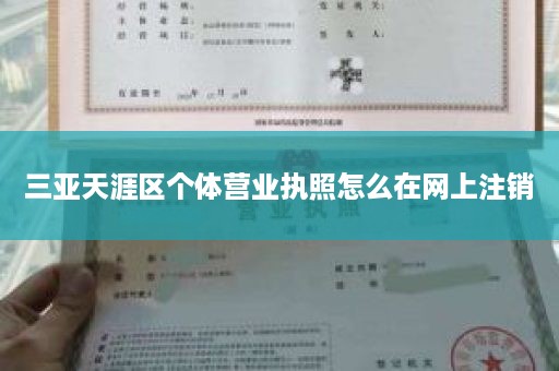 三亚天涯区个体营业执照怎么在网上注销