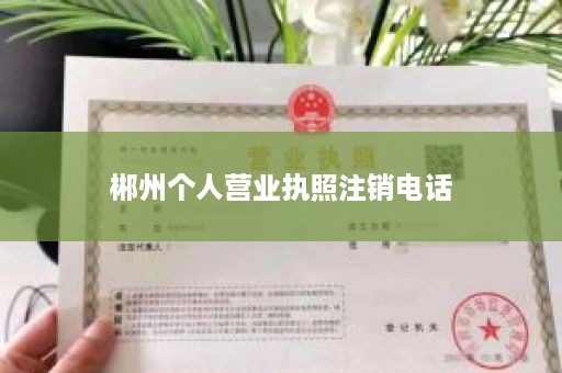 郴州个人营业执照注销电话