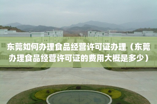 东莞如何办理食品经营许可证办理（东莞办理食品经营许可证的费用大概是多少）
