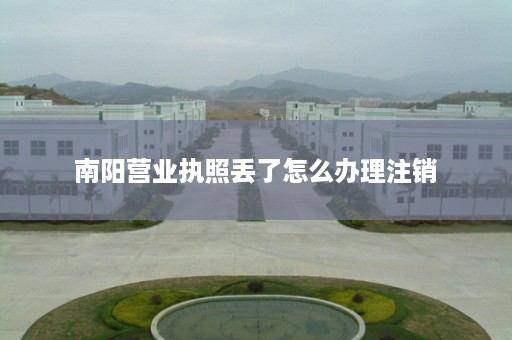南阳营业执照丢了怎么办理注销