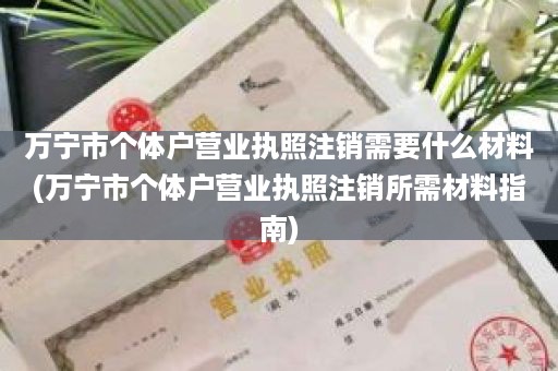 万宁市个体户营业执照注销需要什么材料(万宁市个体户营业执照注销所需材料指南)
