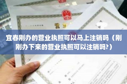 宜春刚办的营业执照可以马上注销吗（刚刚办下来的营业执照可以注销吗?）