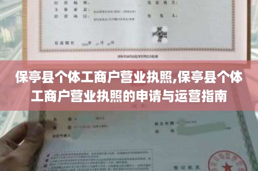 保亭县个体工商户营业执照,保亭县个体工商户营业执照的申请与运营指南
