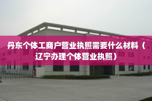 丹东个体工商户营业执照需要什么材料（辽宁办理个体营业执照）