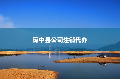琼中县公司注销代办