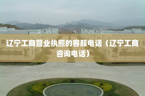 辽宁工商营业执照的客服电话（辽宁工商咨询电话）